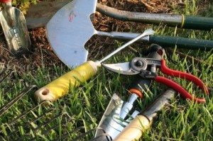 Clean, Sharp Tools Work Better - Fine Gardening Article