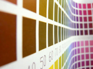 Duron Paint Color Chart - Home Improvement Information House