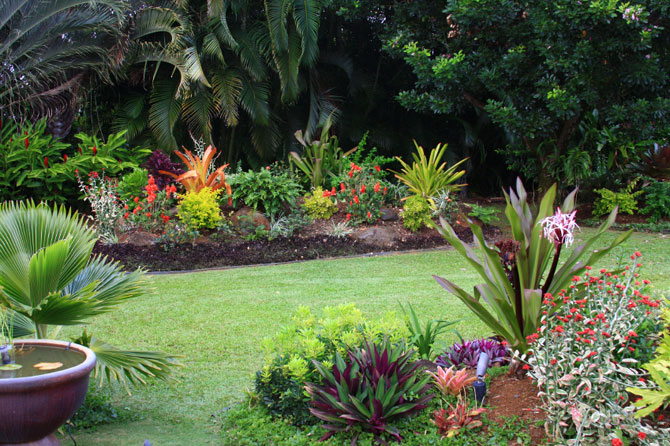 Hawaiian Landscaping Ideas in California