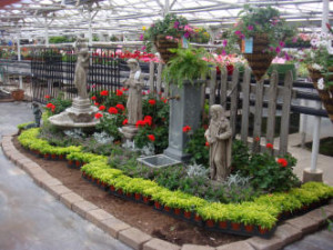 Potted Plants Videos and more at Better Homes and Gardens