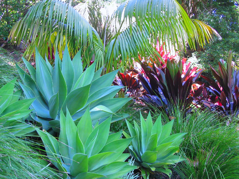 Tropical Landscape Design Ideas