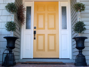 Paint Ideas for Front Doors House