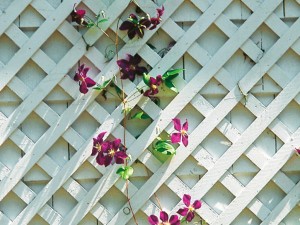 balcony garden design create your sense of seclusion lattice