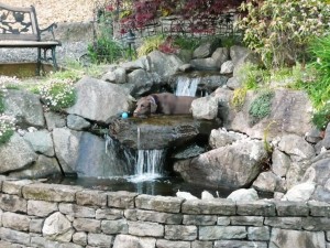 terraced landscape for your home with natural style pond
